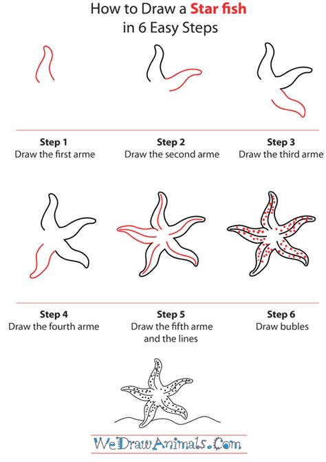 how to draw a star fish|How to Draw a Starfish .